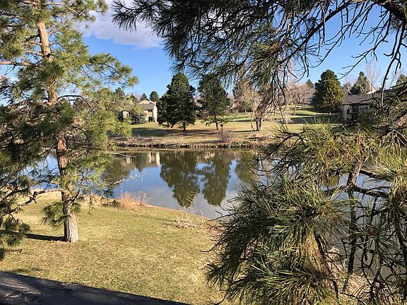 View from deck.