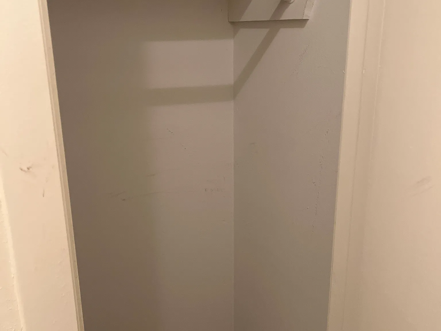 1 bed, 833 sqft, $1,000 — Photo 3