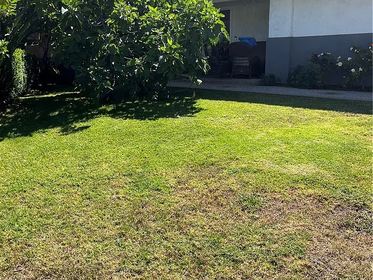 6251 Chimineas Ave — Photo 1