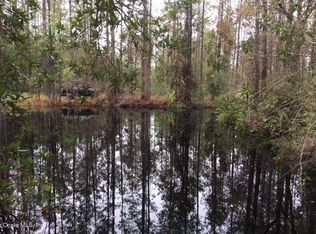 0 NE 215th St, Fort McCoy, FL 32134