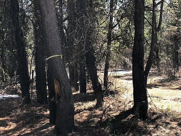 5th image of 1582 Maggie Ln