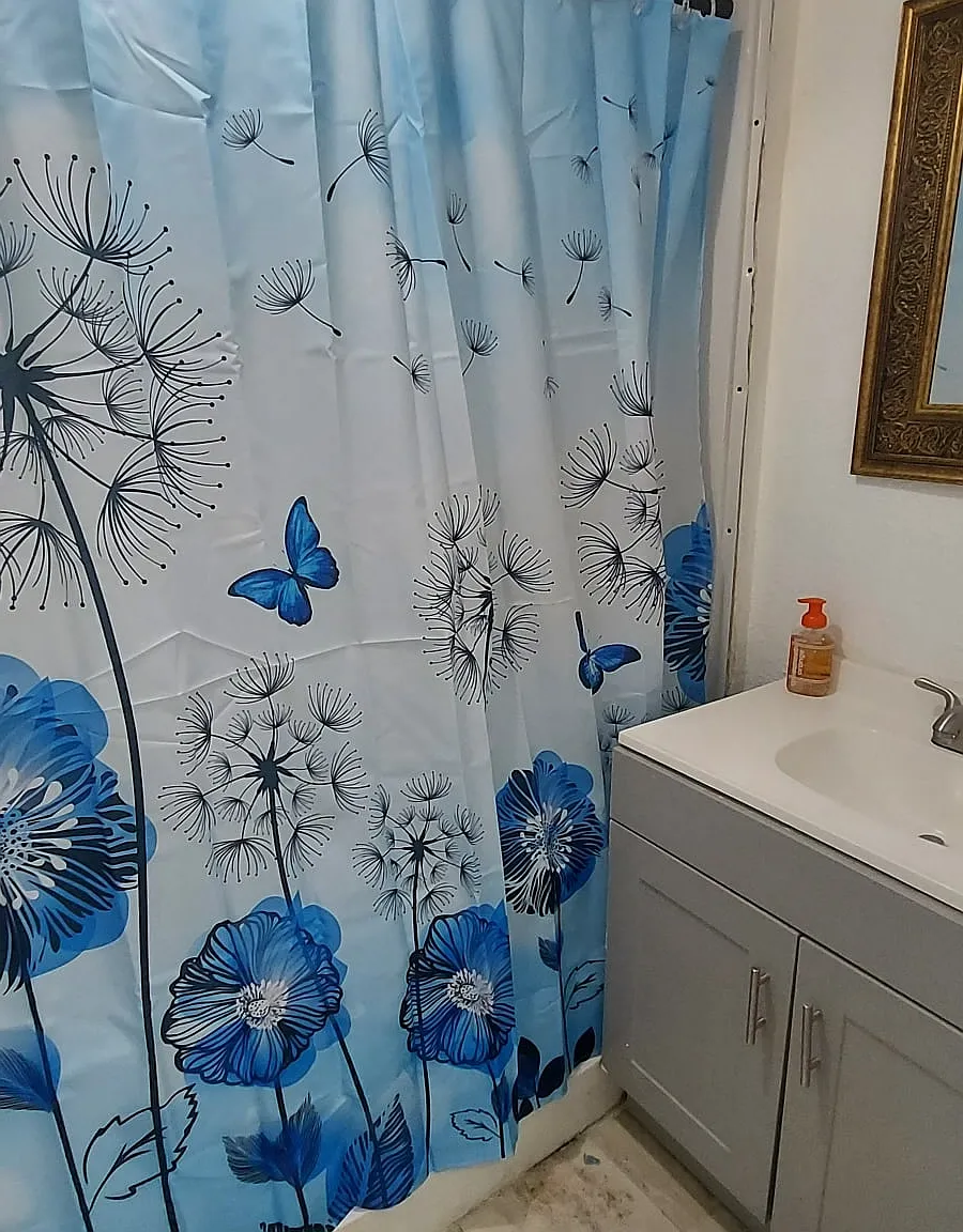1 bed, 850 sqft, $800 — Photo 4