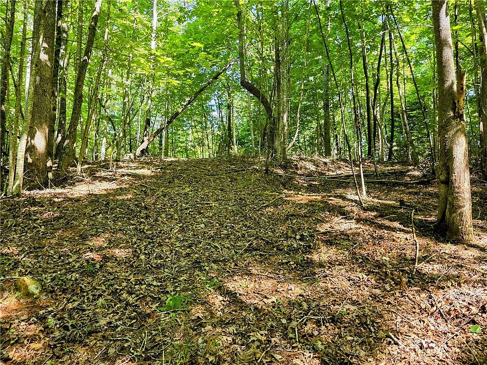 1st image of Lot 2B Brightwood Trail