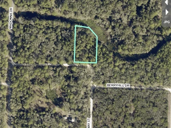 7176 Norway St, Webster, FL 33597