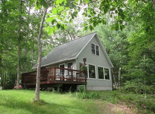 9036 W Ridge View Dr, Irons, MI 49644