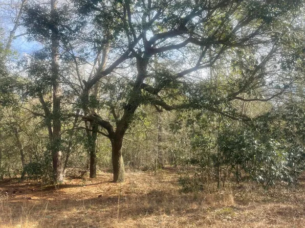 Tbd Dixie Trail, Hamlet, NC 28345