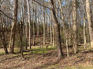 164 Shenendoa Dr, Ellijay, GA 30540