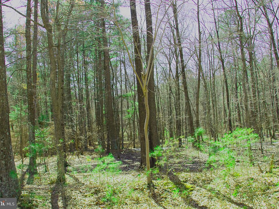 2nd image of Woodstock Road Woodstock Road & Mathias Poin