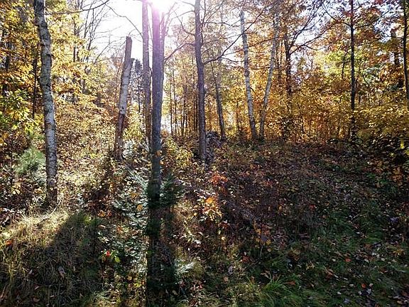 3rd image of Lot 0 Merganser Ln