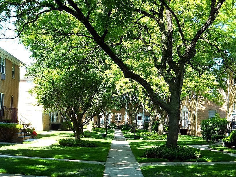 Center Walkway (front view)