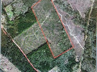 Fm 3081, Willis, TX 77378