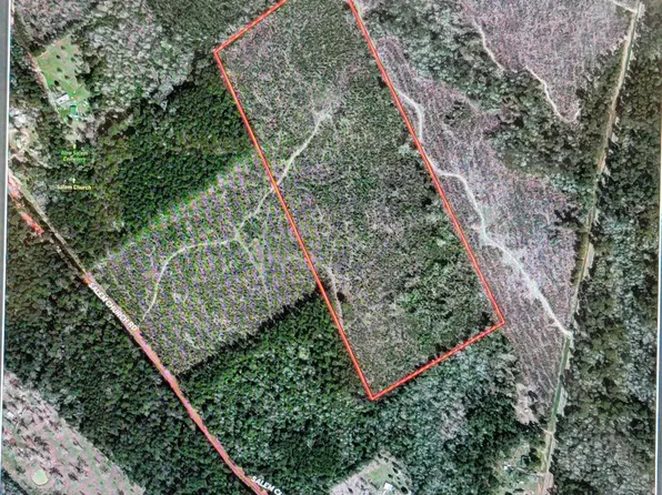 Fm 3081, Willis, TX 77378