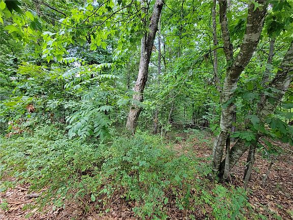 5th image of Hawthorn Cir #4