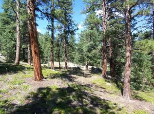 4726 S Le Masters Dr, Evergreen, CO 80439