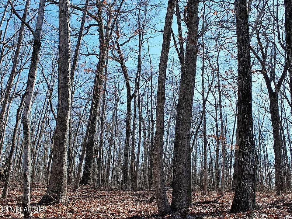 1st image of 191 Albemarle Ln Lot 151