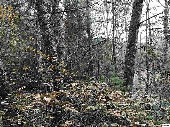 4th image of 19 Sencebaugh Dr Lot 19A