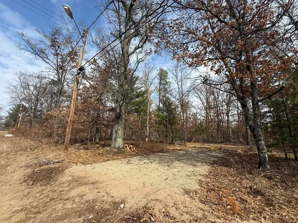 W Yale Ave, Baldwin, MI 49304