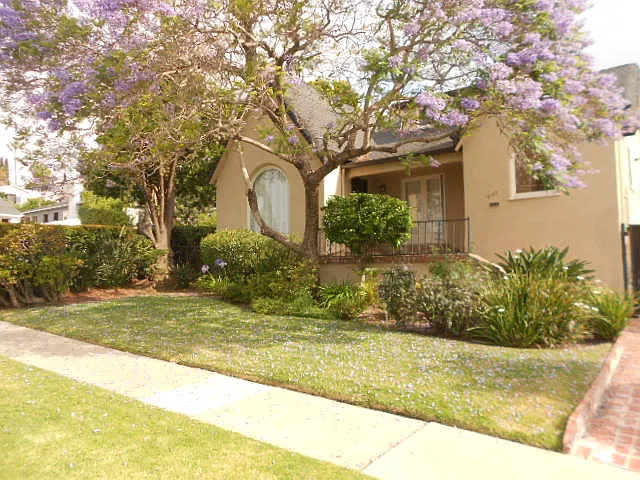 4 bed, 1698 sqft, $6,650 — Photo 2