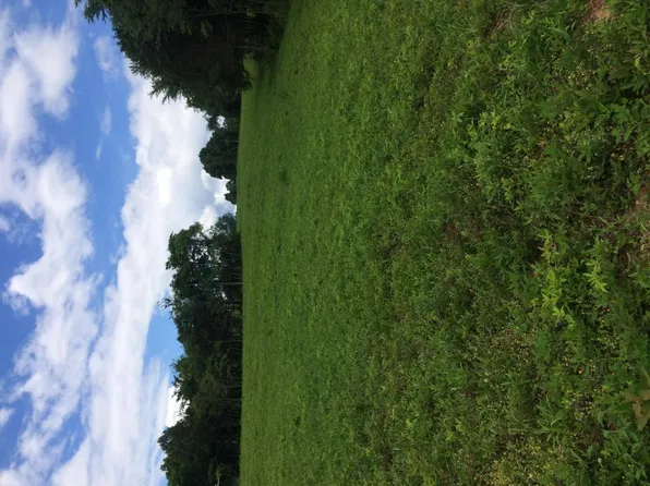 Flat Hollow Rd, Speedwell, TN 37870