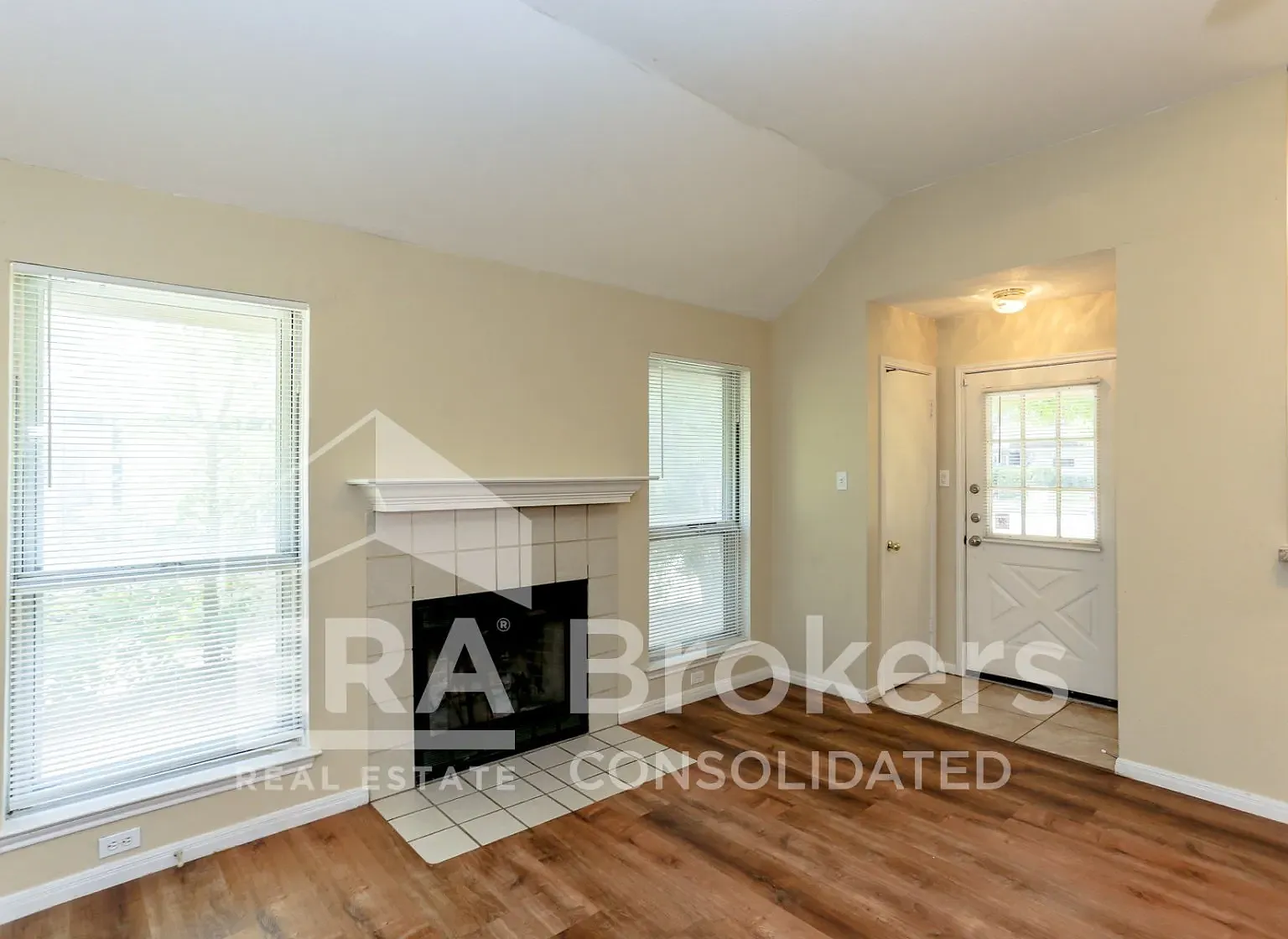 Armadillo2407 — Photo 2