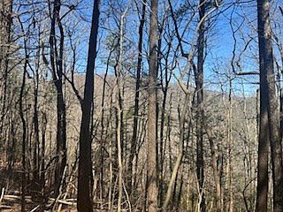3rd image of 14 Butler Creek Rd
