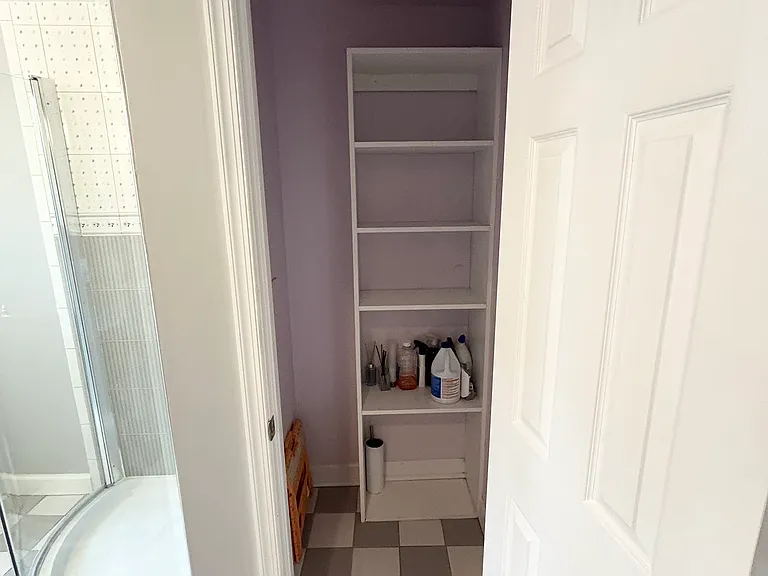 113 Catharine St #3 — Photo 11