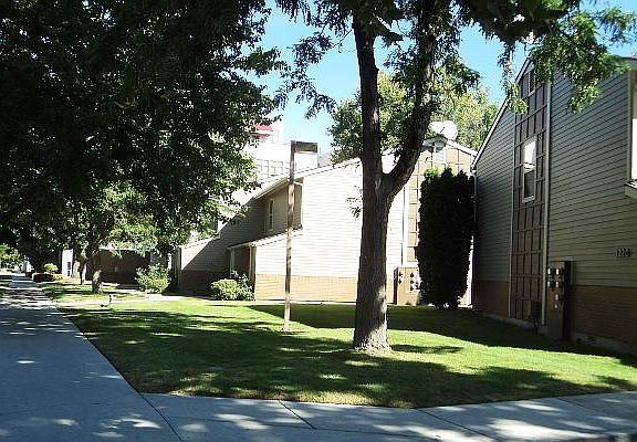 Landscaping with mature trees