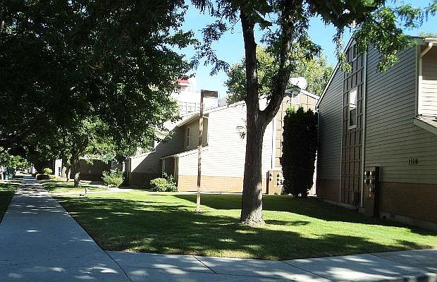 Landscaping with mature trees