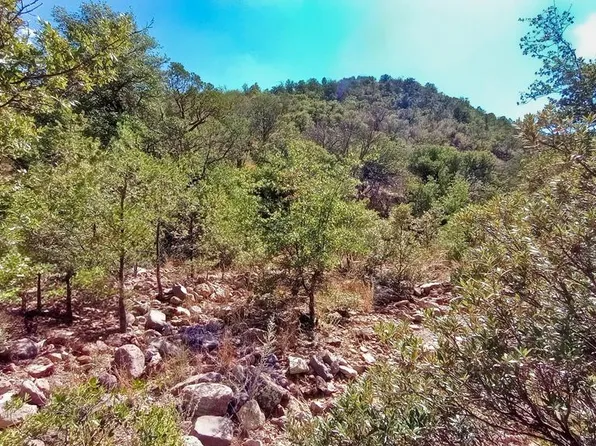311 Colleen Canyon Trl, Fort Davis, TX 79734
