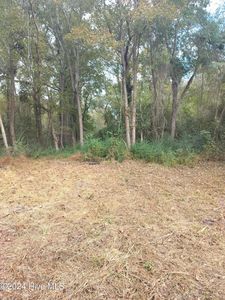 2523 Rockhill Road, Castle Hayne, NC, 28429