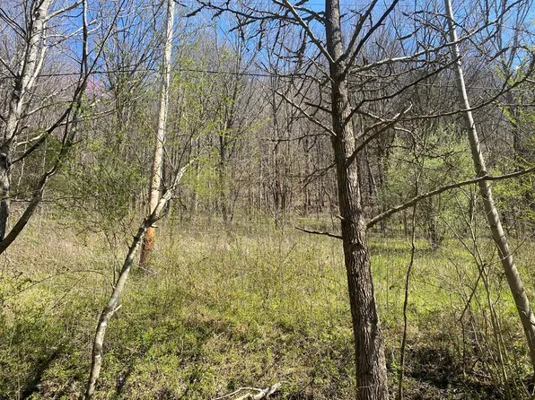 0 Acorn Lane Lots 9 #&-10, Gainesboro, TN 38562