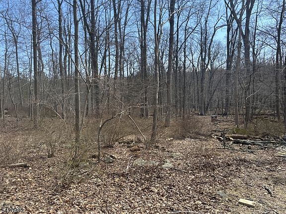 5th image of 25 Red Mill Rd