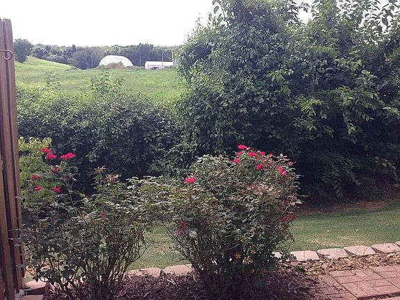 Patio View