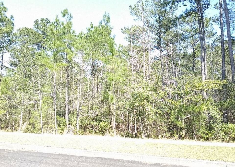 1st image of 83 Pineberry Dr. Lot 158 Harmony Old Town