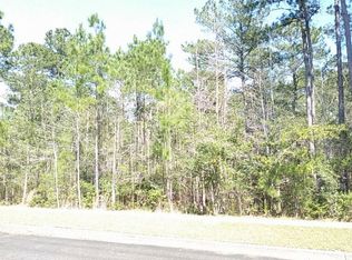 83 Pineberry Dr LOT 158, Georgetown, SC 29440