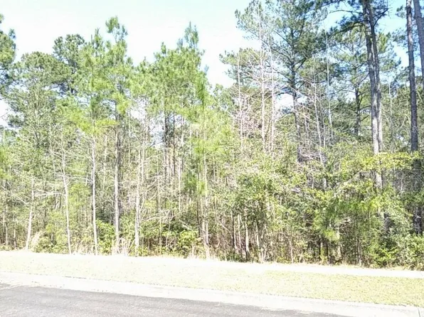 83 Pineberry Dr. Lot 158 Harmony Old Town, Georgetown, SC 29440