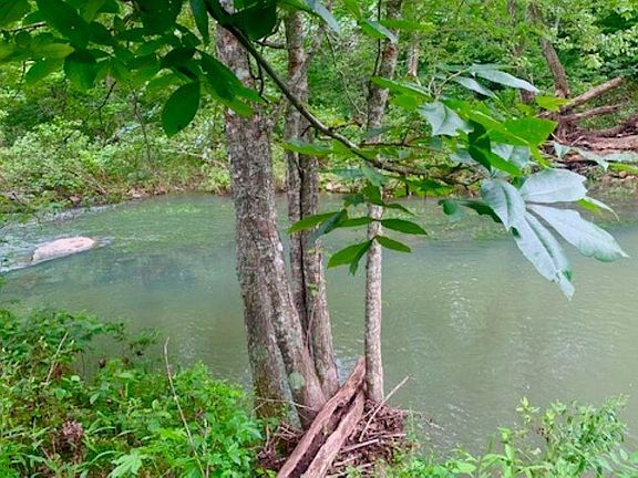 2nd image of 1602 Turkey Creek Rd