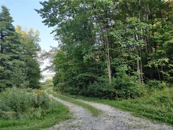 0 Chapman Point Road Pvt Lot 10, Hammond, NY 13646