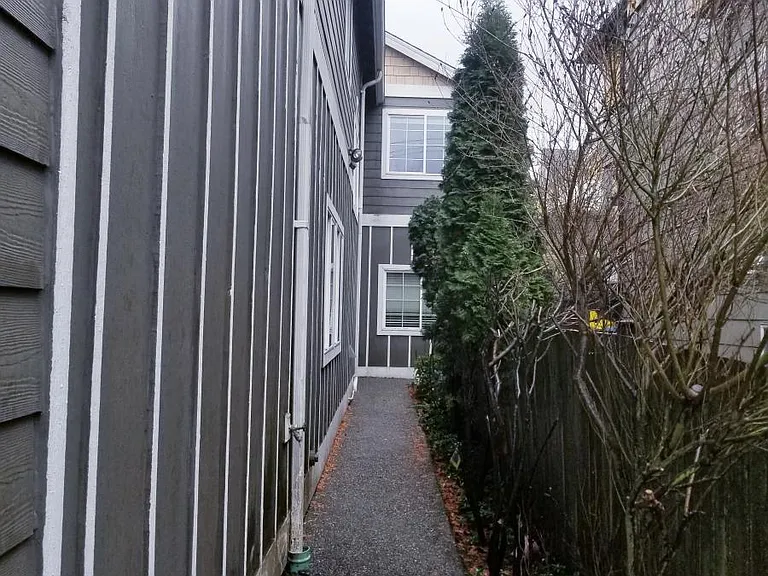 Pathway to front door