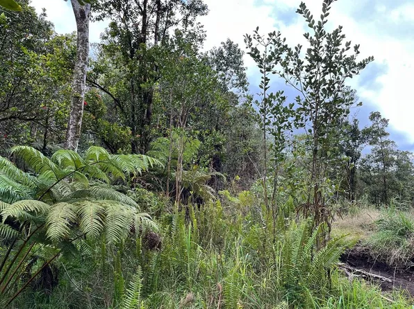 Road 10 Lot 536, Volcano, HI 96785