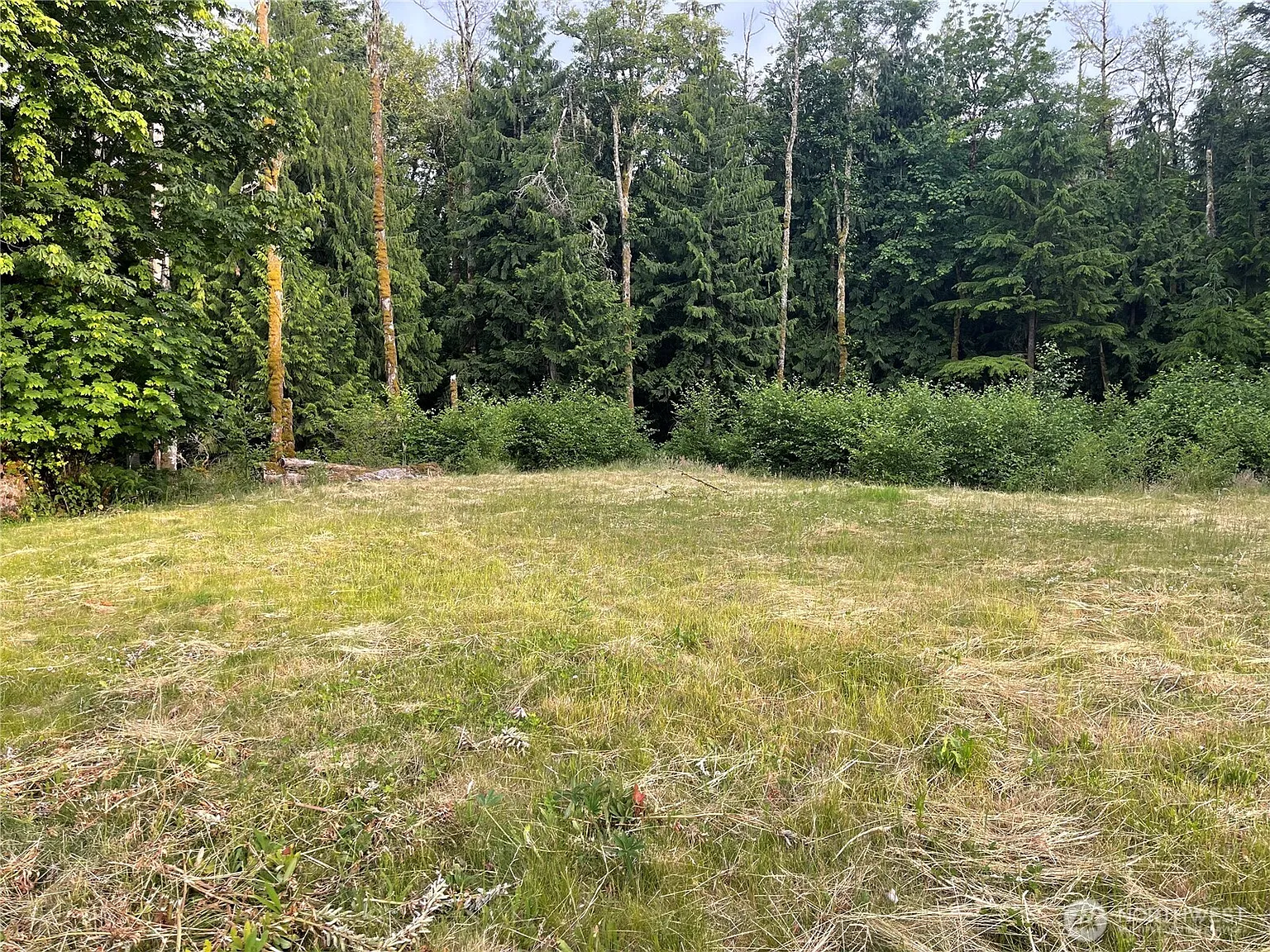 27235 SE Grand ridge Dr photo 1