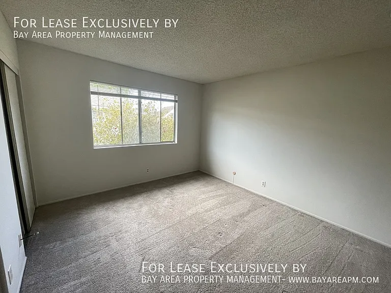 755 Vespucci Ln — Photo 8