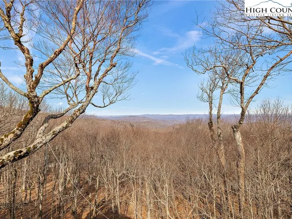 1041 Charter Hills Road, Beech Mountain, NC 28604