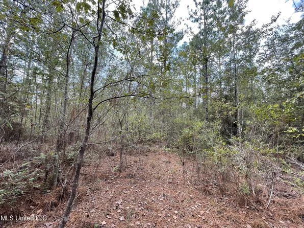 0 Garrett Dr #12, Lumberton, MS 39455