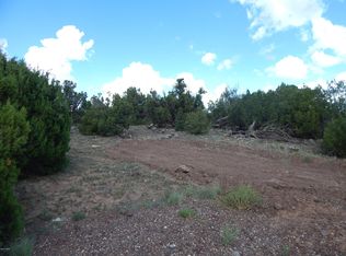 8672 Supancheck Rd, Show Low, AZ 85901