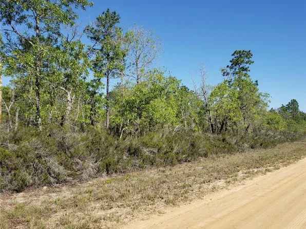 126 Quail Way #9, Hawthorne, FL 32640