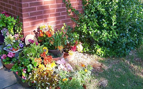 10048445_4
