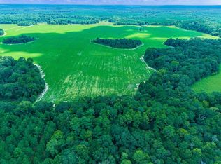 0 Hall Rd, Oakfield, GA 31772