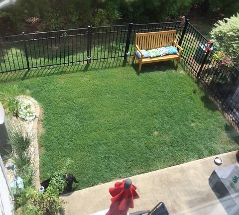 Fenced in yard new landscape