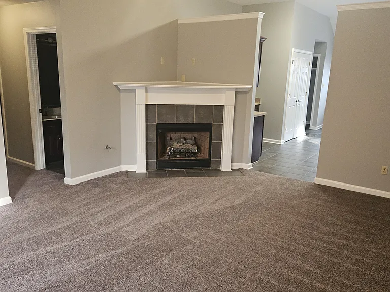 Gas fireplace